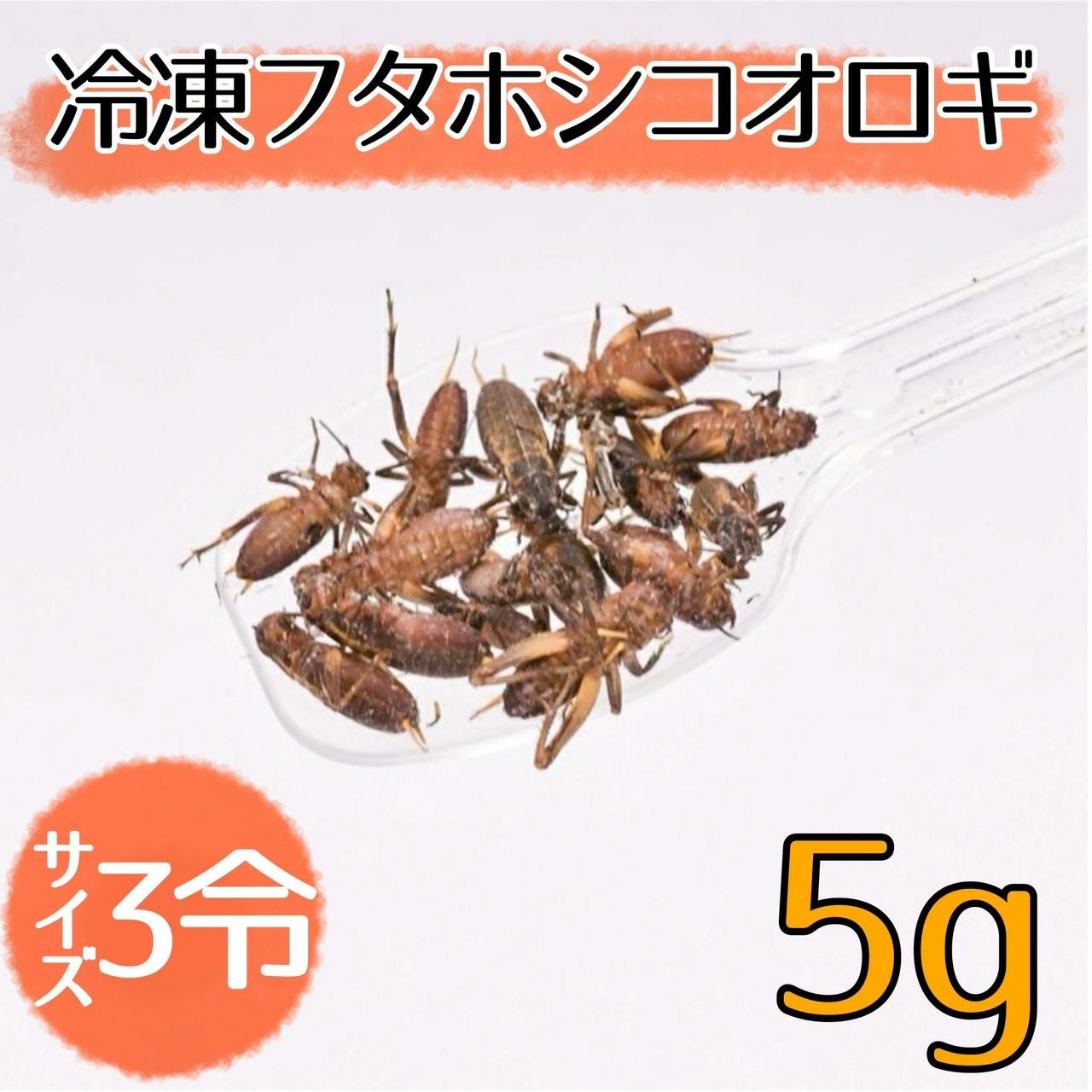 NEW【冷凍餌】フタホシコオロギ 3令 5g | 月夜野ファームの通販