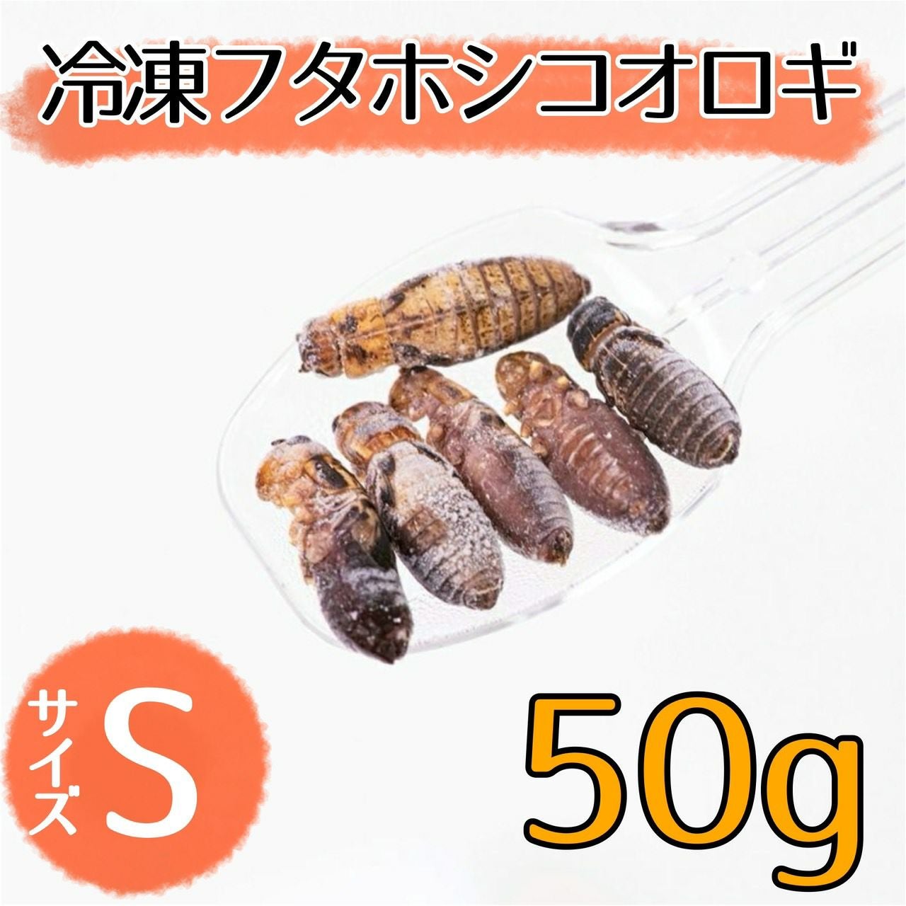 冷凍コオロギ | 月夜野ファームの通販