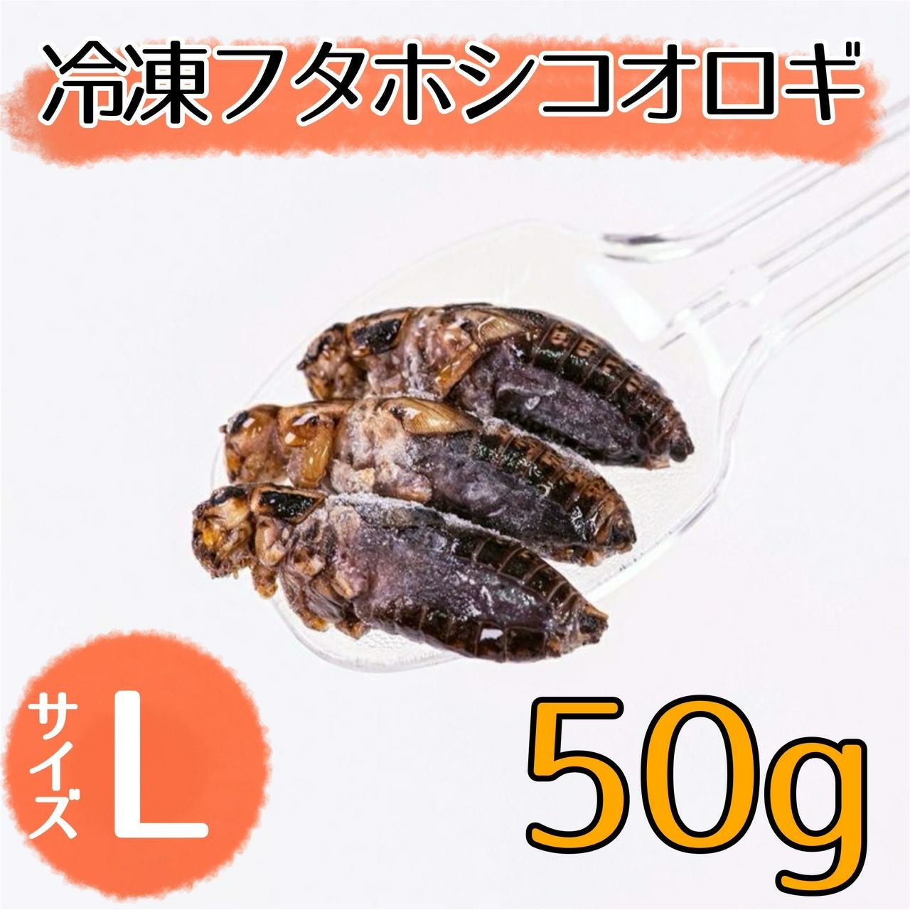 NEW【冷凍餌】フタホシコオロギ L 50g レビュー | 【公式】月夜野