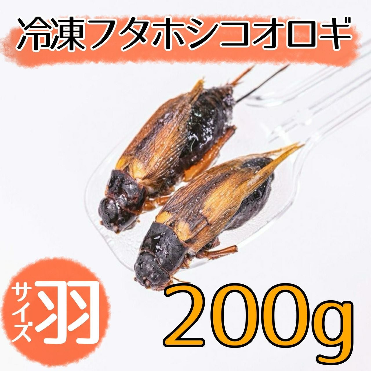 冷凍】フタホシコオロギ | 月夜野ファームの通販