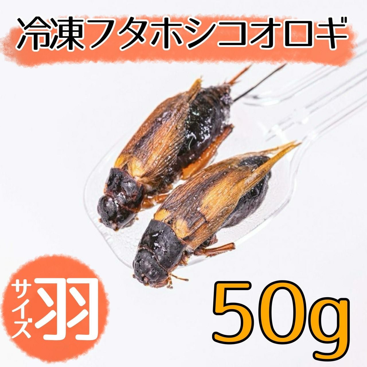 000000000047-01.jpg?size=l&w=