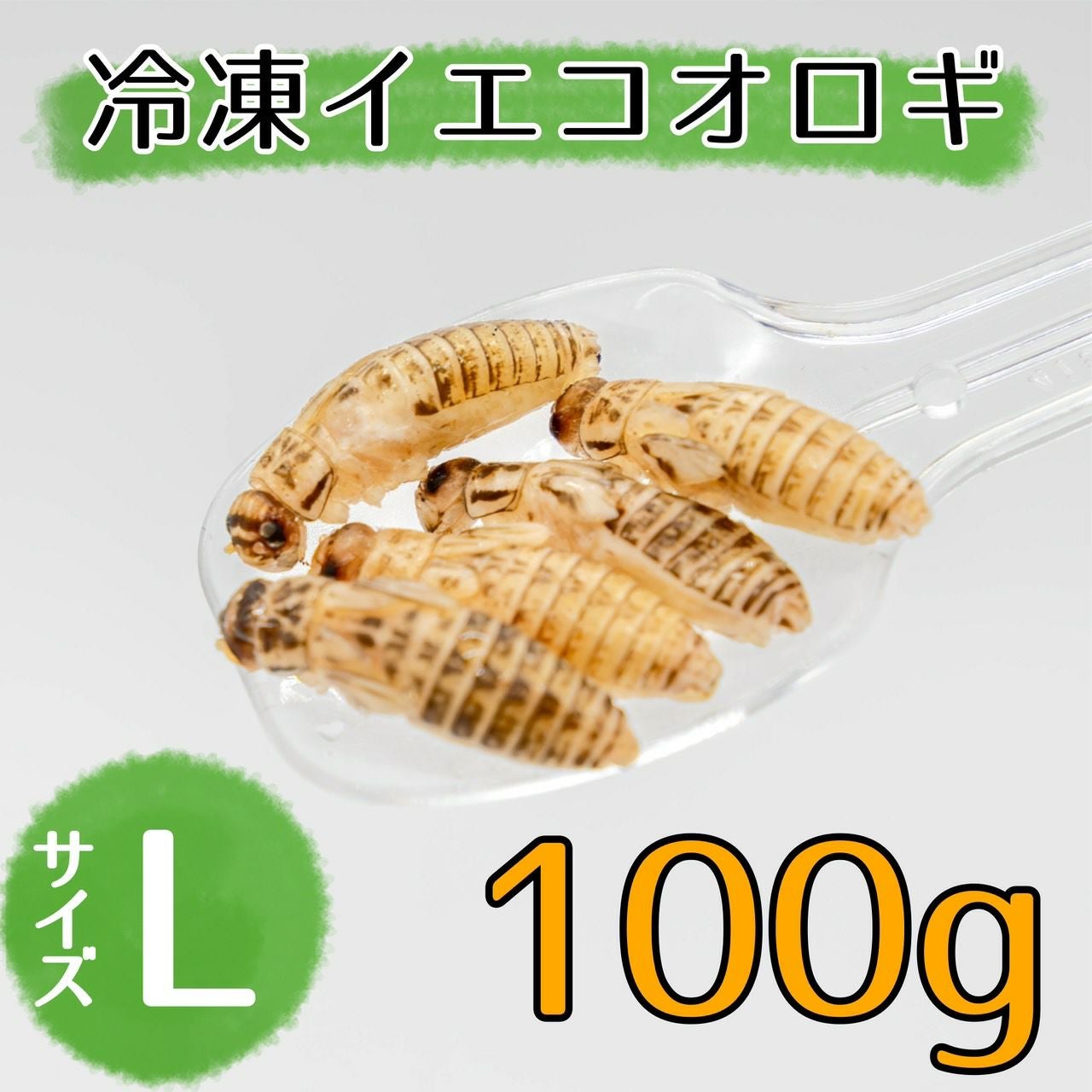 冷凍コオロギ | 月夜野ファームの通販