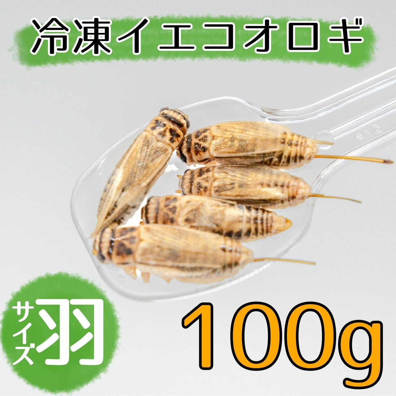 冷凍コオロギ | 月夜野ファームの通販