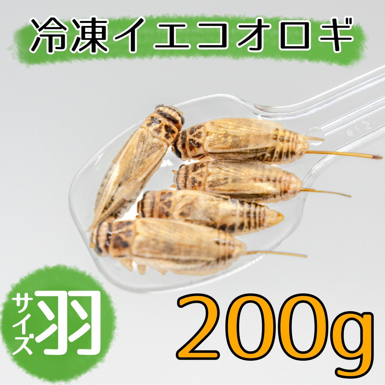 NEW【冷凍餌】イエコオロギ 羽 200g | 月夜野ファームの通販