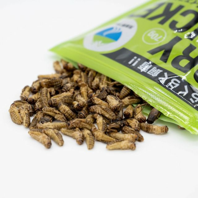 000000000094-01.jpg?size=m&w=