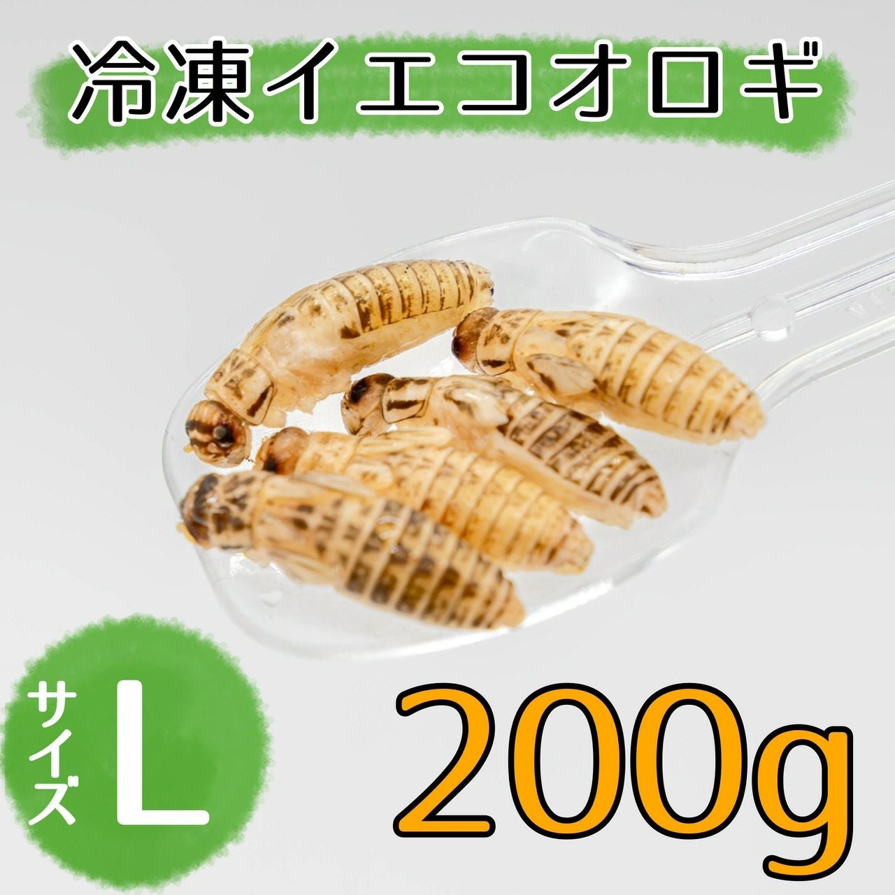 冷凍コオロギ | 月夜野ファームの通販