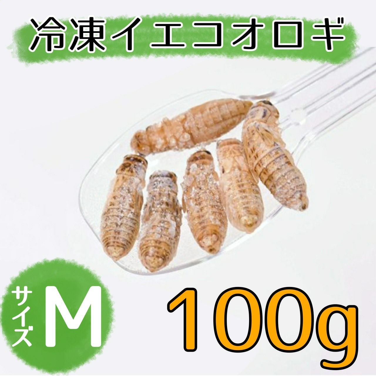 000000000115-01.jpg?size=m&w=