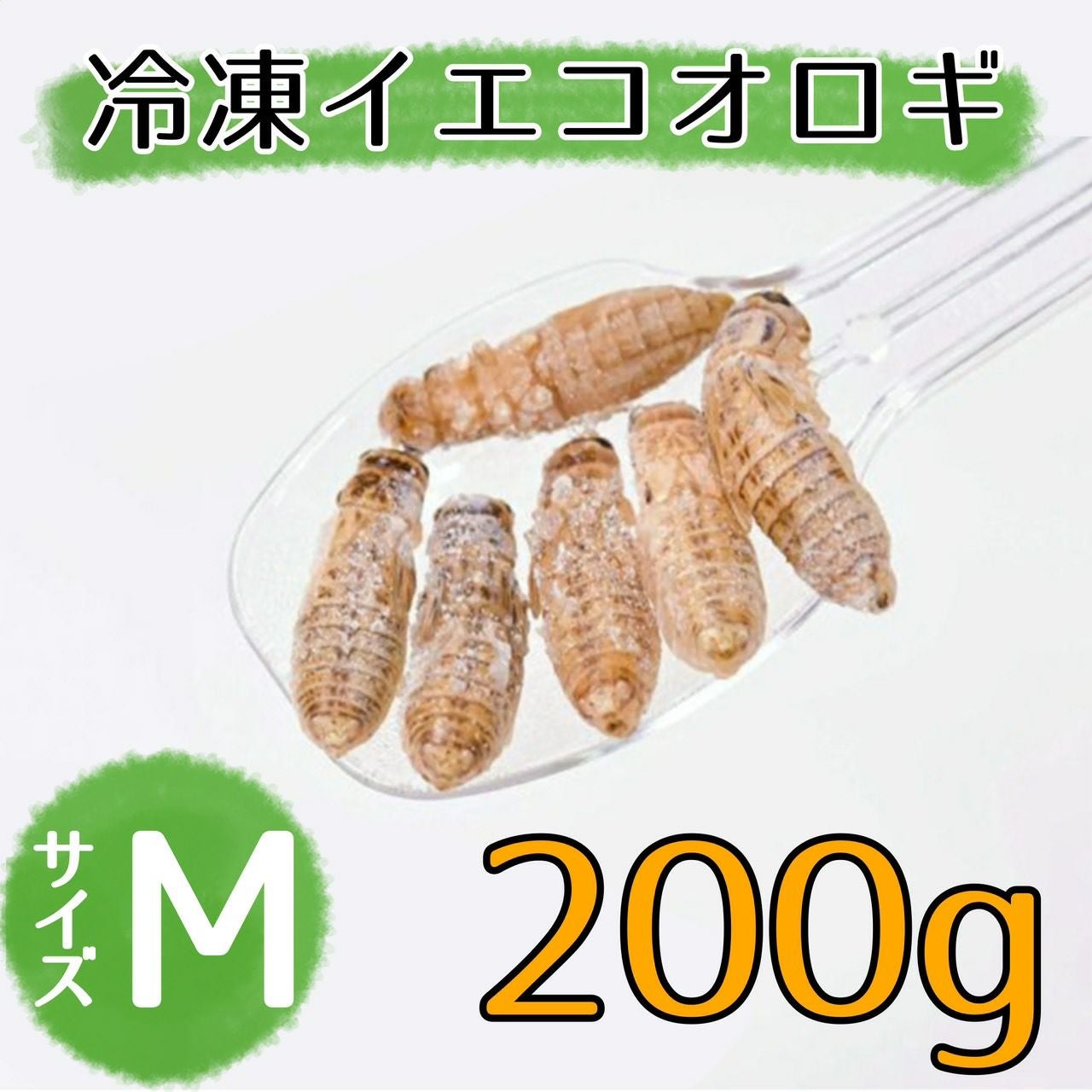 000000000116-01.jpg?size=m&w=