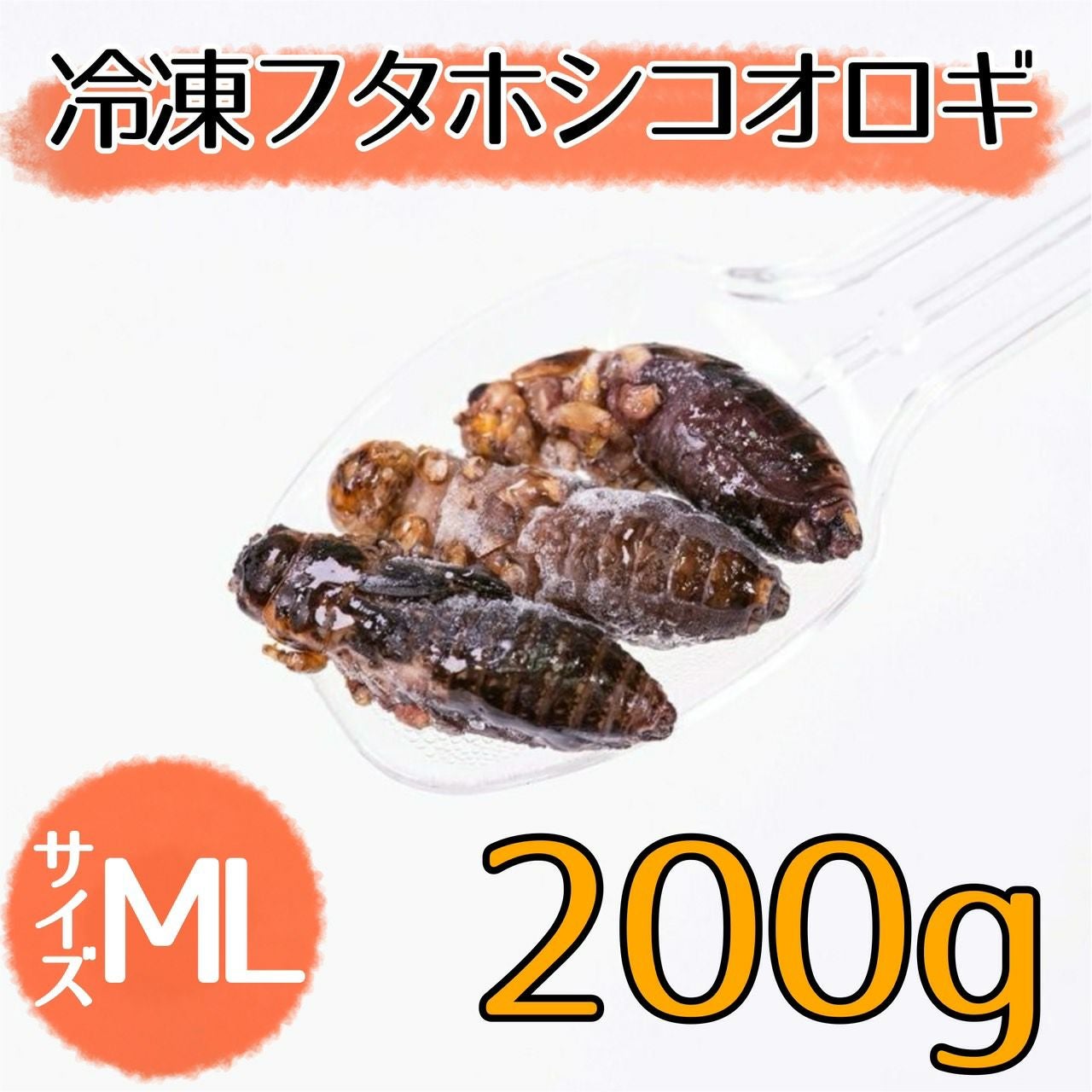NEW【冷凍餌】フタホシコオロギ ML 200g | 月夜野ファームの通販