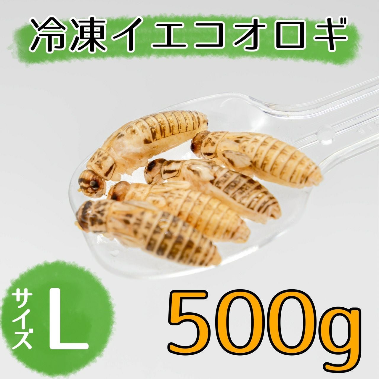 冷凍コオロギ | 月夜野ファームの通販