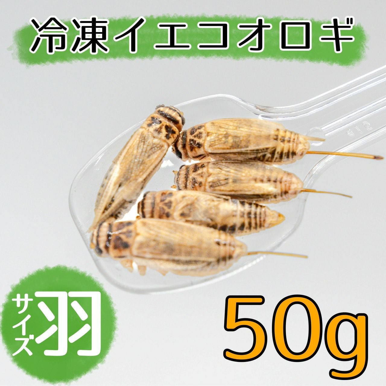 000000000134-01.jpg?size=m&w=