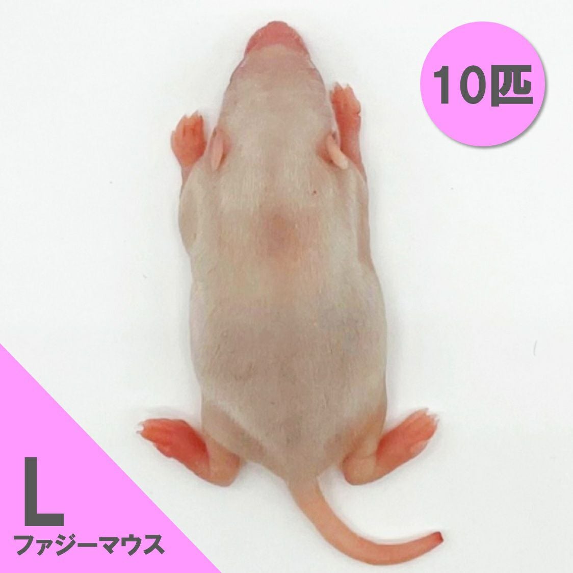 冷凍マウス | 月夜野ファームの通販