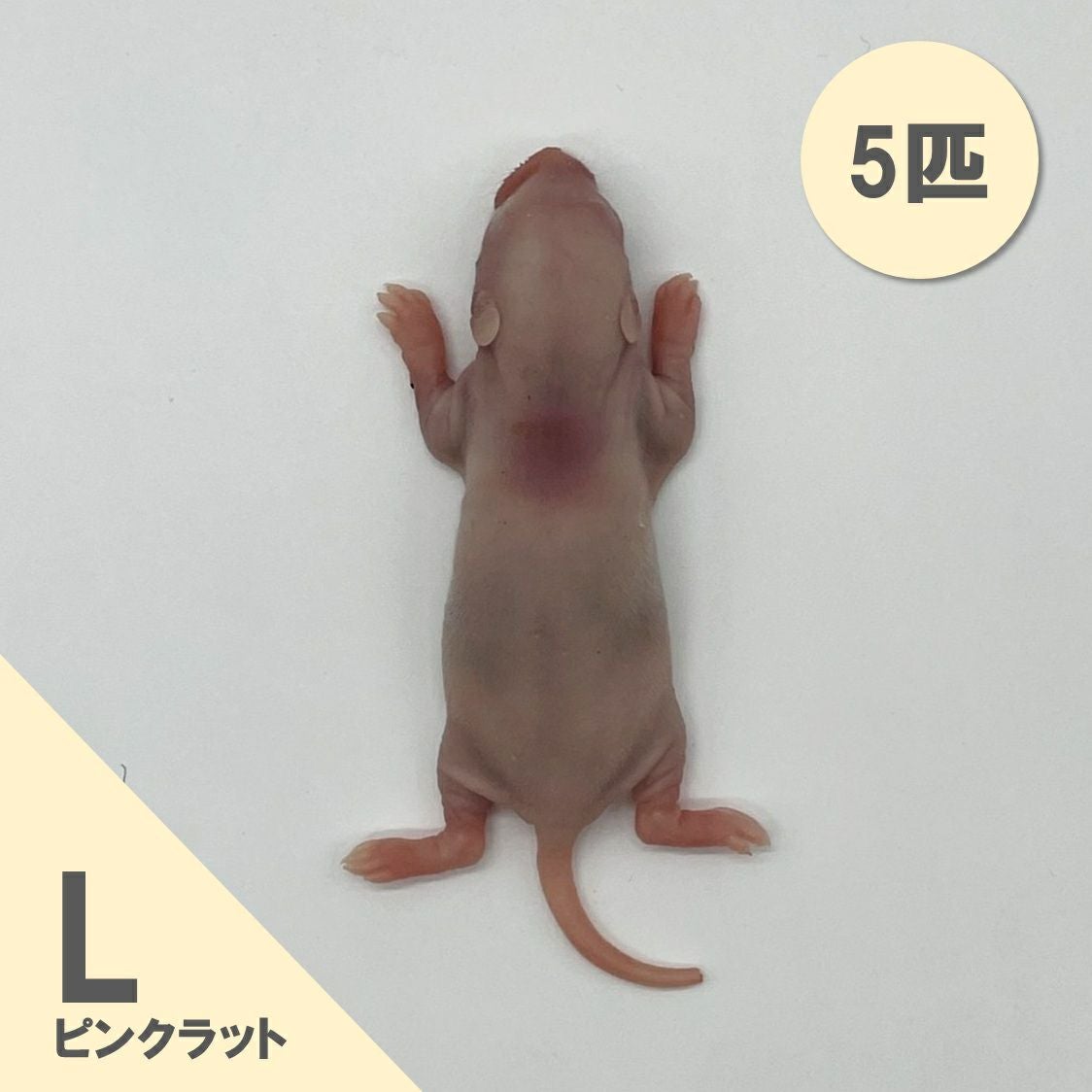 冷凍ラット | 月夜野ファームの通販