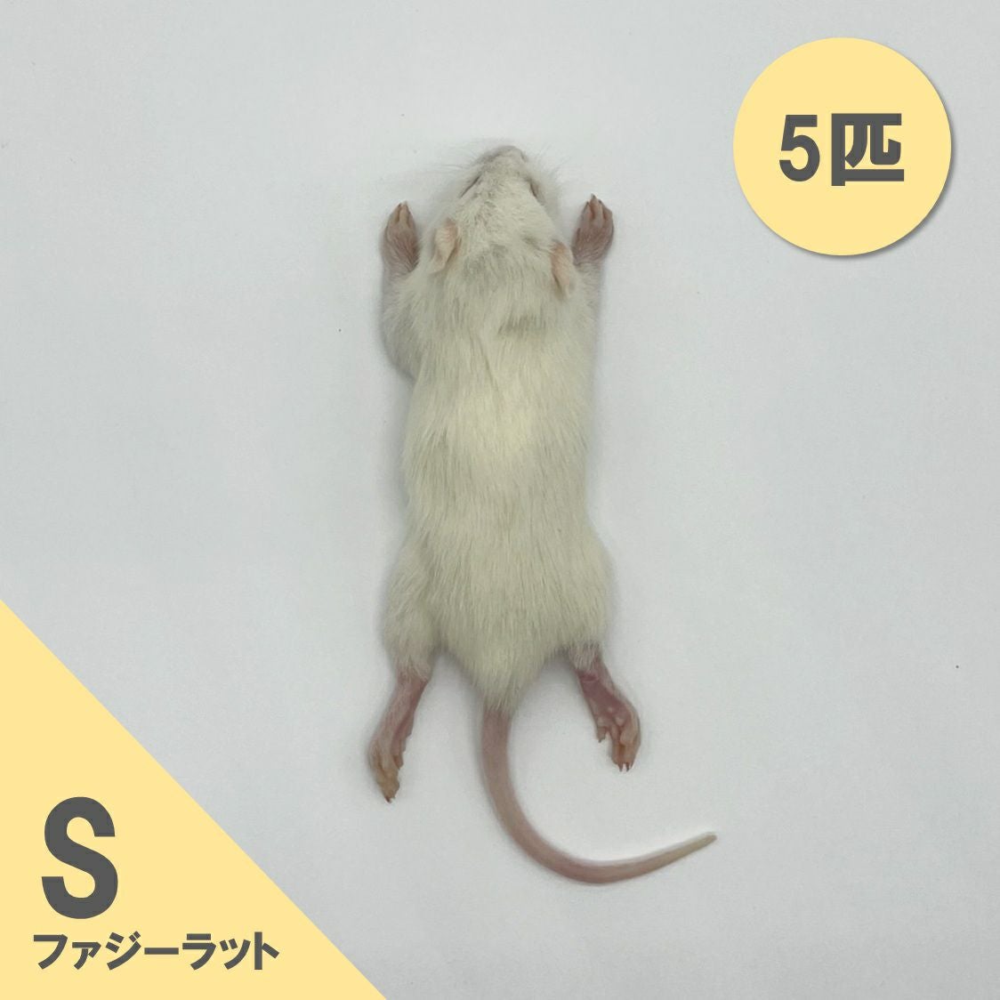 冷凍ラット | 月夜野ファームの通販