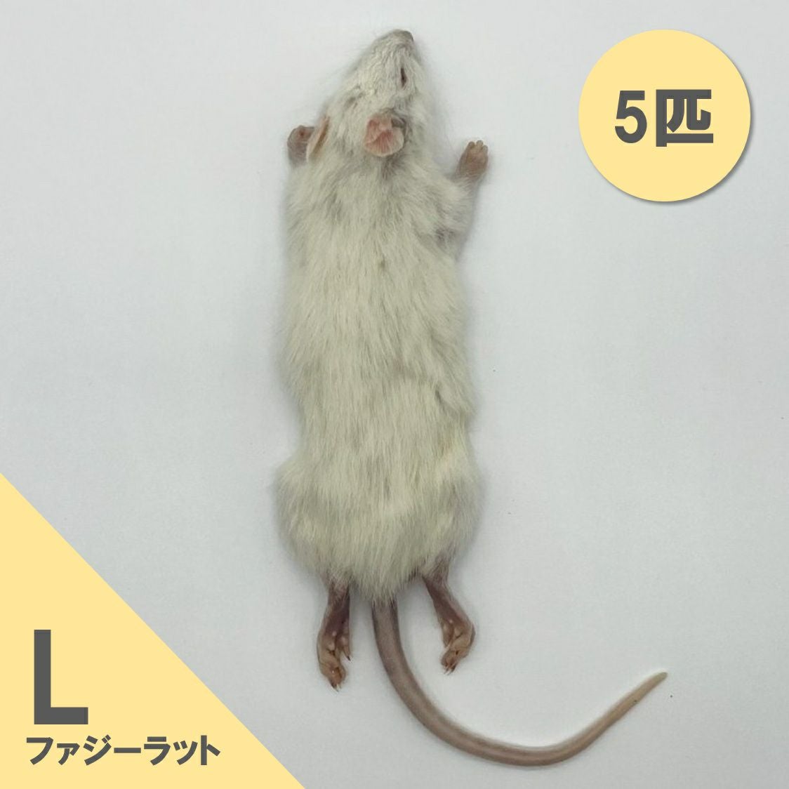 冷凍ラット | 月夜野ファームの通販