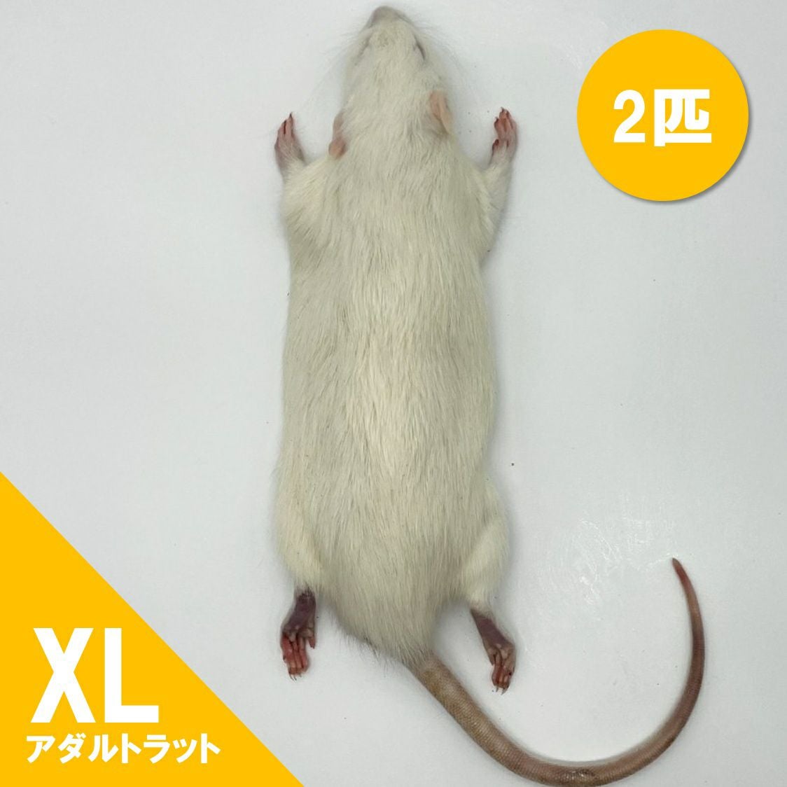 冷凍ラット | 月夜野ファームの通販