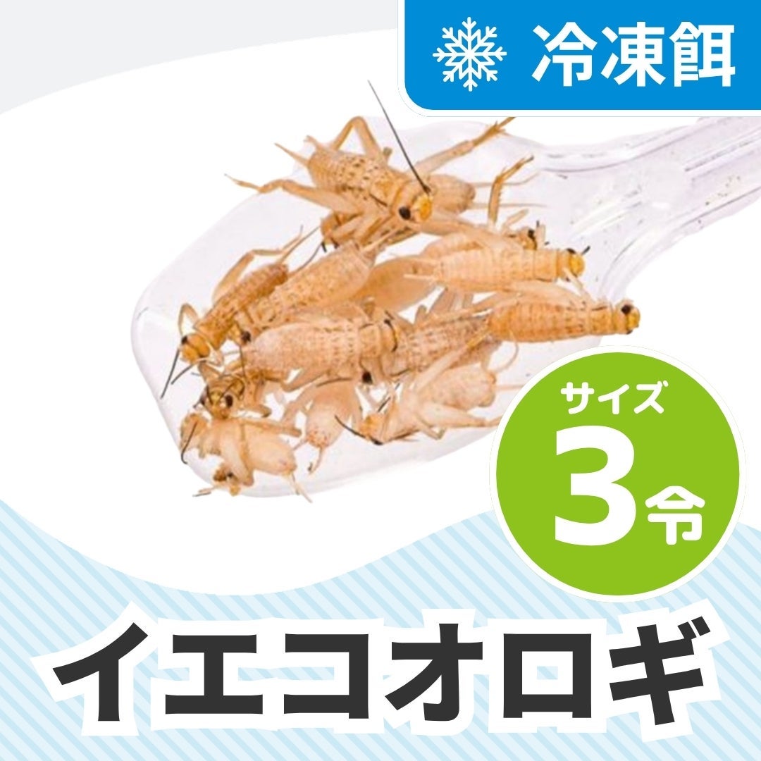 特価　訳アリ　冷凍コオロギ 約3キロ　袋入り 冷凍コオロギ | 月夜野ファームの通販