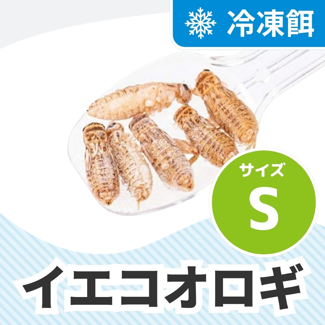 冷凍コオロギ | 月夜野ファームの通販