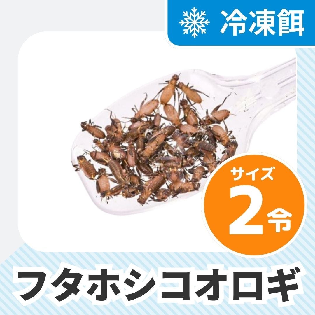 冷凍コオロギ | 月夜野ファームの通販
