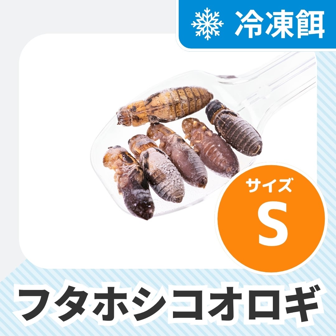 冷凍】フタホシコオロギ | 月夜野ファームの通販